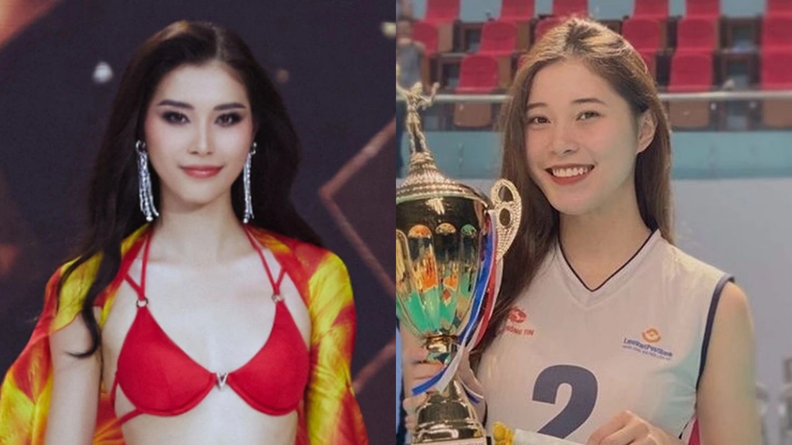 Quá trình chuyển mình ấn tượng