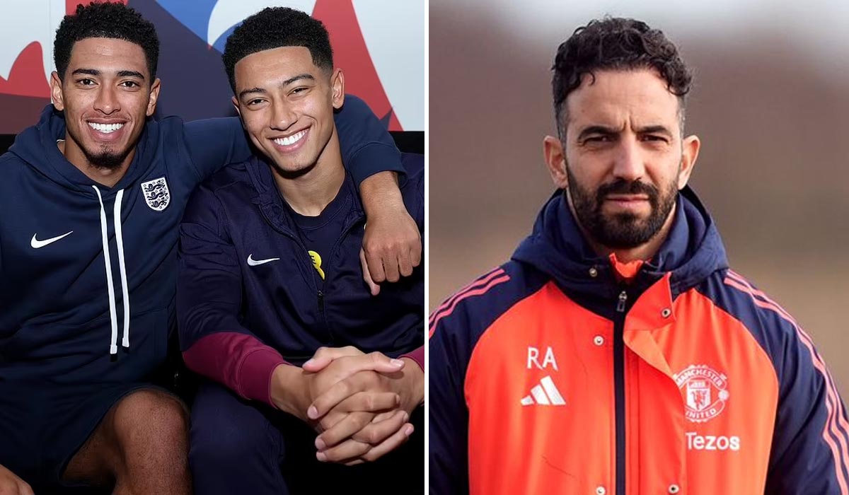 Thông tin chuyển nhượng khác